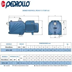 BOMBA PEDROLLO 4CP 100