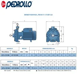 BOMBA PEDROLLO 2CP 25/16B